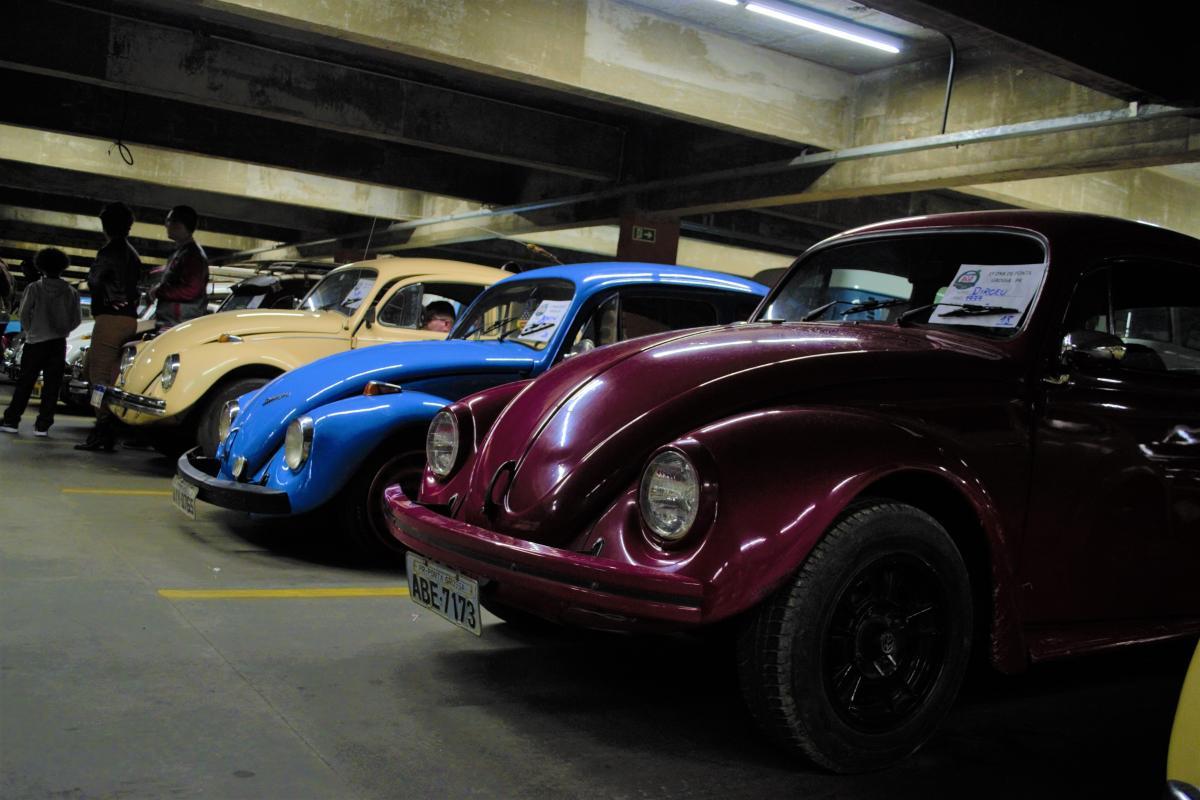 A exposição também contou com Fuscas de diversas cores.